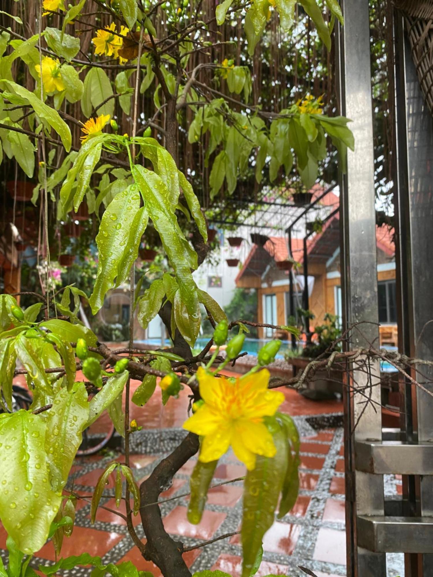 نينه بينه Tam Coc Charming Bungalow المظهر الخارجي الصورة