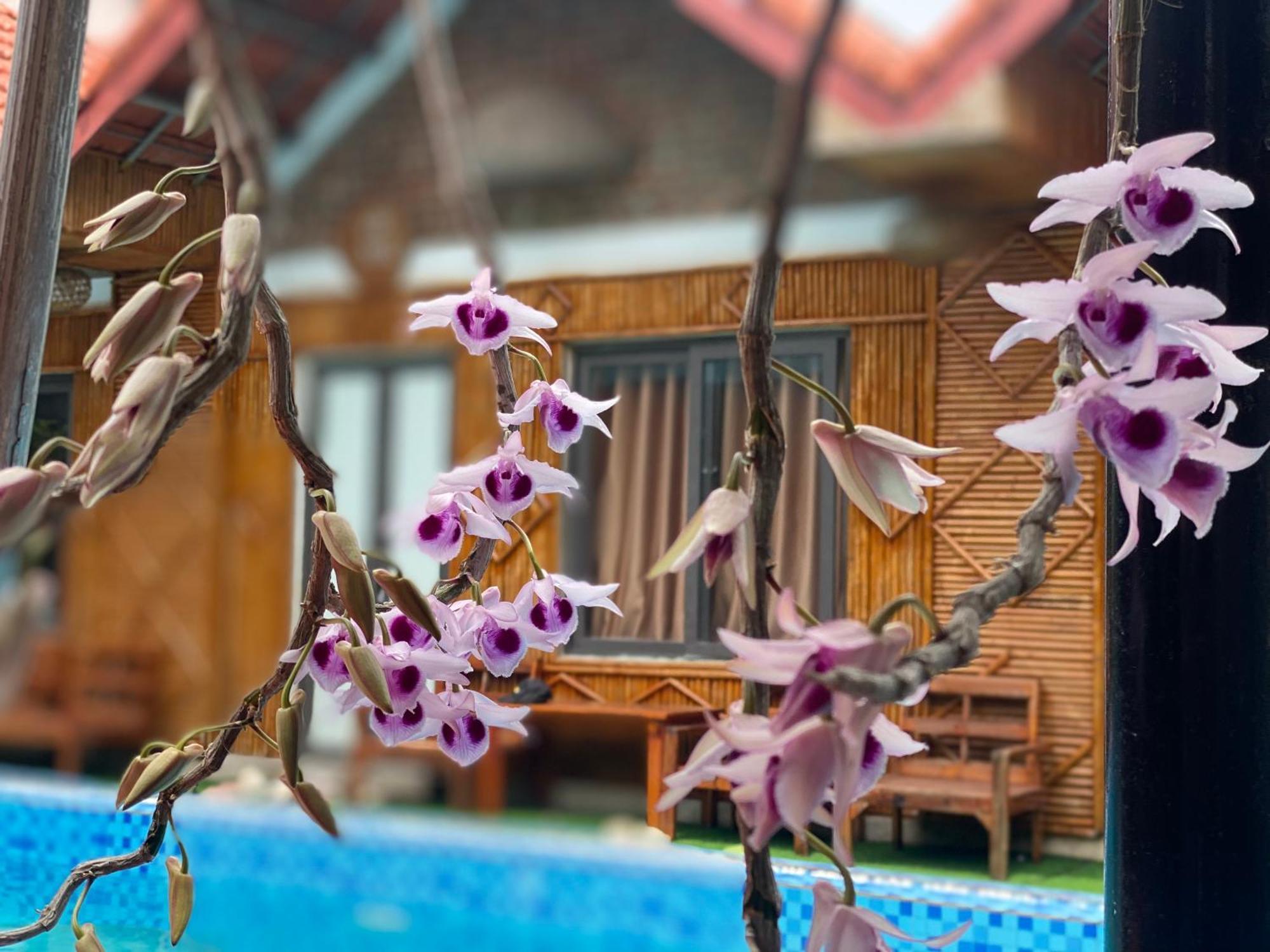 نينه بينه Tam Coc Charming Bungalow المظهر الخارجي الصورة
